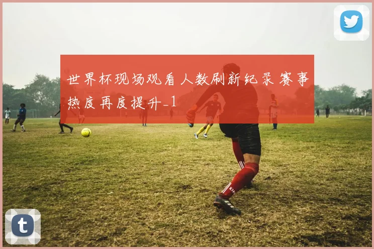 世界杯现场观看人数刷新纪录 赛事热度再度提升_1